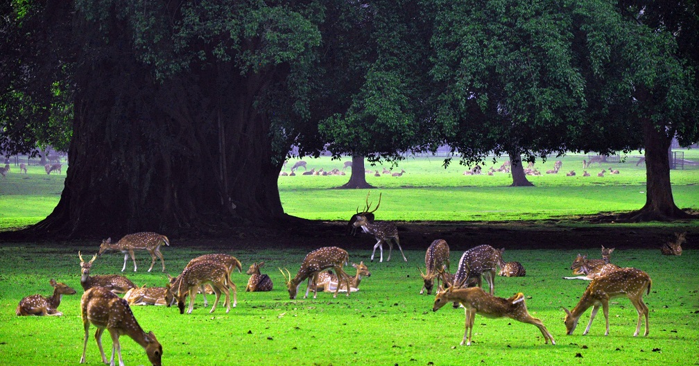 The Types of Natural Environments according to Hindu Shastras