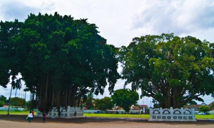 Alun-Alun: the Brahmasthan of Java